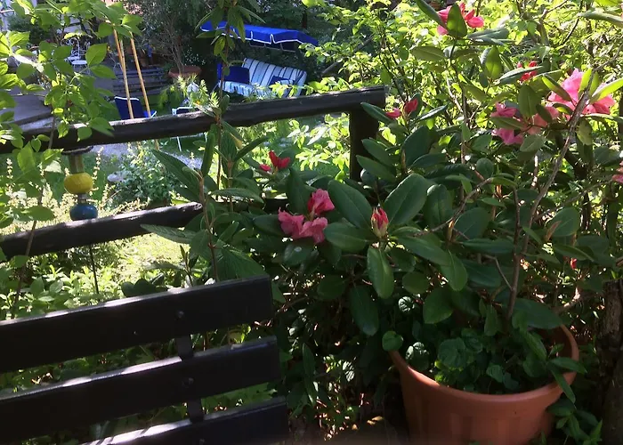 Fedora Apart-hotel 3*