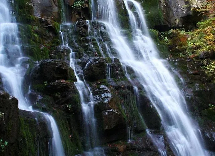 Fedora 3* Lizzano In Belvedere