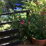Fedora Aparthotel 3*