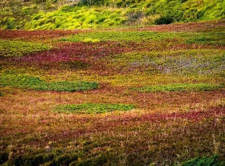 شقة فندقية Fedora ليتسانو في بلفيردي