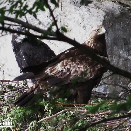 Fedora 3* Lizzano In Belvedere