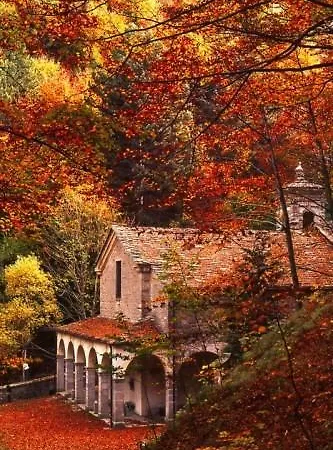 费多拉别墅公寓 3* 利扎诺因贝尔韦代雷