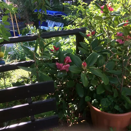 费多拉别墅公寓 公寓式酒店 3*