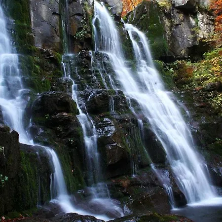 费多拉别墅公寓 3* 利扎诺因贝尔韦代雷