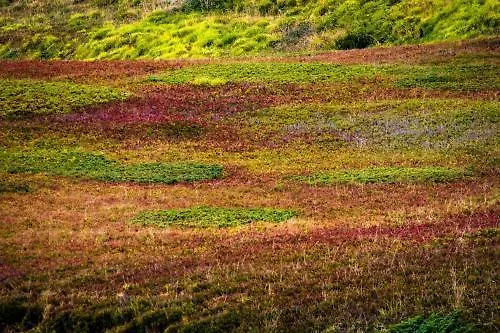 Aparthotel Fedora Lizzano In Belvedere