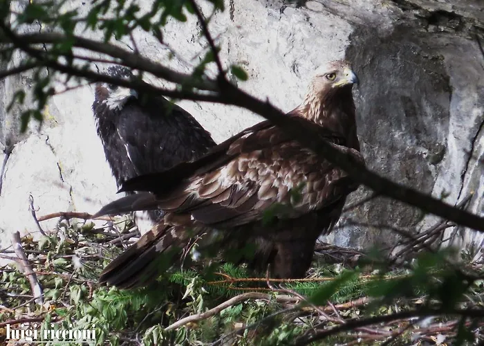 Fedora 3* Lizzano In Belvedere