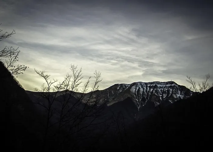 Fedora Aparthotel 3*