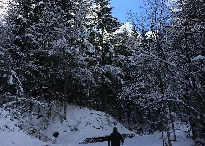 Fedora Aparthotel 3*